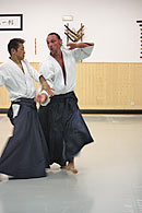 aikido