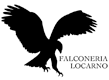 Falconeria Locarno