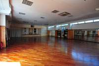 Dojo