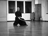 Stage del Sensei Taira No Yoshiakira